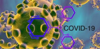 UPDATED: Eight new COVID-19 cases recorded in Nigeria, totaling 89 presently