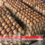 COVID-19-Palliatives-not-for-APC-members-but-vulnerable-Ondo-residents-Akeredolu_0ec4db3e-attachment