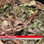 STAKEHOLDERS-ADVOCATES-HERBAL-CURE-FOR-COVID-19-attachment