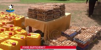 Food Sufficiency: ODSG to consolidate Agricultural Schemes