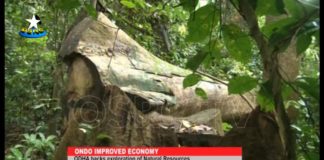 Improved Economy: Ondo Assembly backs Exploration of Natural Resources