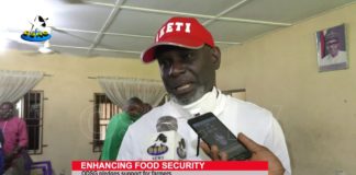 Ondo State Government pledges support for farmers Ondo-State-Government-pledges-support-for-farmers