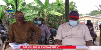 Agricultural Empowerment: ODSG Trains 100 Broilers Production with Financial Aid