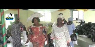 Widows Care: 500 widows benefit in Ile-oluji