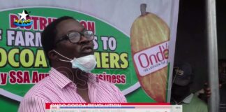 Cocoa Revolution: Ondo Govt to empower 600 farmers with hybrid seedlings at Jugbere plantation