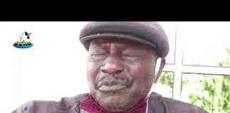 Cocoa production: experts call for concerted efforts at meeting international standard.