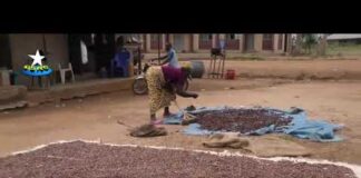 How 48 year Old Monarch, David Olajide is transforming Ondo Community