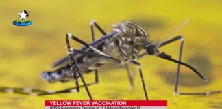 Ondo to begin Yellow Fever vaccination in 11 local government areas.