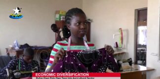 Economic Diversification: Rufus Giwa poly Owo taps into Agriculture sector