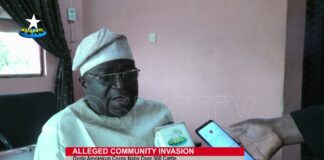 Herders invasion: Ondo Amotekun nabs cattle at Ipinsha