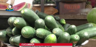 Cucumber and it’s health benefits