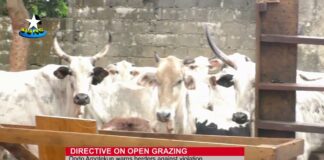 Amotekun threatens to confiscate cows in Ondo