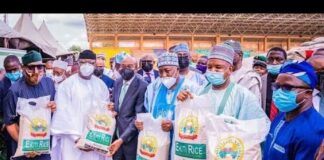 Ekiti Rice Pyramid: Akeredolu hails FG’s agricultural transformation drive