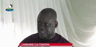 Medicinal Cannabis ‘ll boost Nigeria’s Economy – Panelists