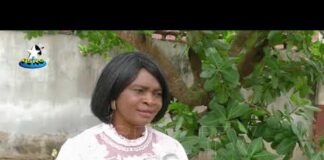 Stakeholders advocate aggressive approach to end sexual violence