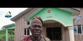 Parents, candidates knock JAMB over 2021 Unified examination