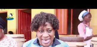 Ondo State Govt embarks on data capturing to strengthen school feeding programme