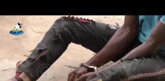 Ondo police parade suspected killers of POS operators, rapist, others