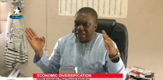 Ondo Govt Plans to Organise Farmers in Forest Reserves into Clusters