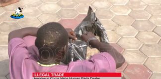 Amotekun Corps Nab a 30-year Old Driver with Human Parts in Ondo