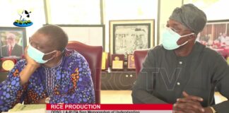 Ondo State Govt, La-ruta Sign Memorandum of Agreement on Rice Production