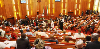 Ministerial screening: Senate confirms nominee Balarabe who slumped, two others