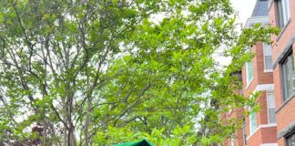 Breaking… Ondo State Born Howard Medical Genius, Akeredolu Celebrates Boubini Over Outstanding Educational Achievements