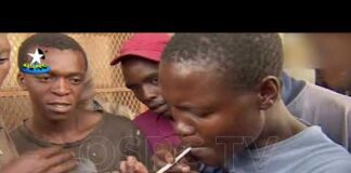 Drug Abuse: Experts urge cooperation to end menace