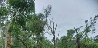 Breaking …….Abuja highway attack:Troops eliminate scores of Bandits.