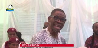 What political parties must do to make Nigeria better – Prof Adamolekun