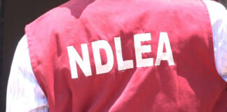 Breaking……..Drug war:NDLEA uncovers 442 wraps of meth concealed in heads of cat fish.