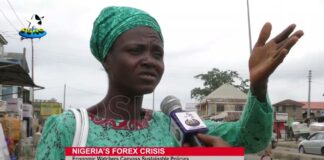 Free Fall of Naira: Economic Watchers Canvass Sustainable Policies