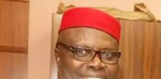 BREAKING: Wabara Emerges PDP BoT Chairman