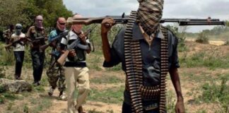 Abducted Kogi Poly Students Regain Freedom