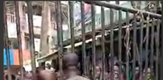 General elections: Igbo traders embark on ‘NO PVC , NO ENTRY’ at Alaba market in Lagos