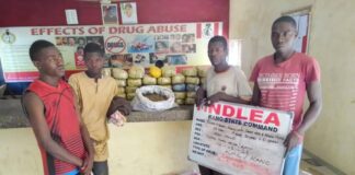 NDLEA arrests Chadian, intercepts Europe-bound 58kg cocaine, meth at Lagos, Abuja airports