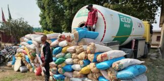 Update: NDLEA arrests Church General Overseer, theology student over drug trafficking