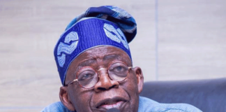 PRESIDENT TINUBU APPOINTS TWO NIGERIA CUSTOMS SERVICE BOARD MEMBERS
