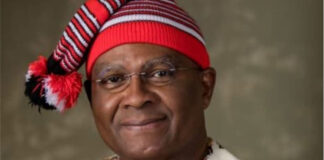 Ex-Enugu Governor loses senatorial reelection bid