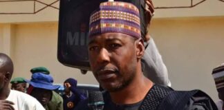 Borno Governor commends state fore servicemen for proactivenes