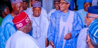 Tinubu visits president Buhari in Daura, presents his certificate of return