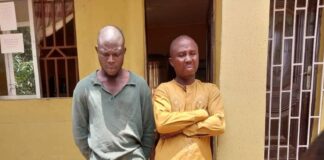 NDLEA nabs traditional ruler, Ex-Boko Haram fighter, 35 others arrested for drug trafficking