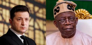 Zelensky congratulates Nigeria’s President-elect, Tinubu, seeks diplomatic cooperation