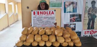 Lesser Hajj: Saudi-bound widower, divorcee arrested at Lagos airport with 14.4kg cocaine