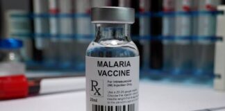 We expect malaria vaccine by April next year – FG