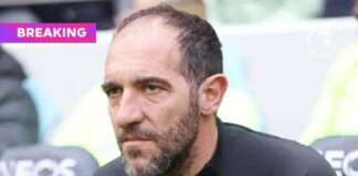 Tottenham Hotspur sack interim coach