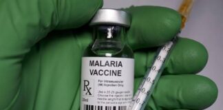 FG approves R21 malaria vaccine