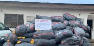 After gun duel, NDLEA seizes 8,852kg illicit drugs consignment in Lagos, other states