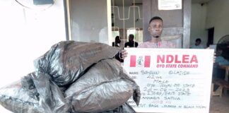 NDLEA impounds contraband substances in Lagos, Edo, Niger, arrests suspects
