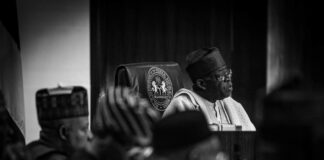 President Bola Tinubu appoints Special Advisers